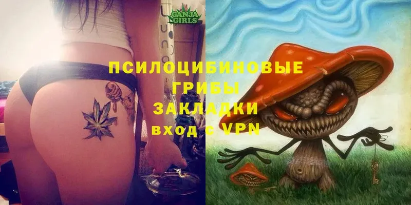 Галлюциногенные грибы Magic Shrooms  OMG маркетплейс  Катайск 